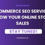 eCommerce SEO Services Grow Your Online Store Sales